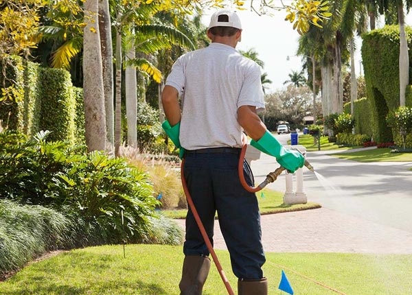 About Gardner IL Pest Control Pros